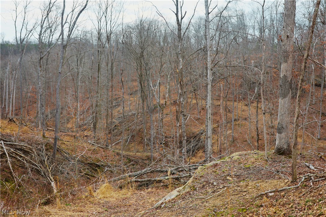 Brimstone Road Coolville, OH 45723 - Photo 14 of 29