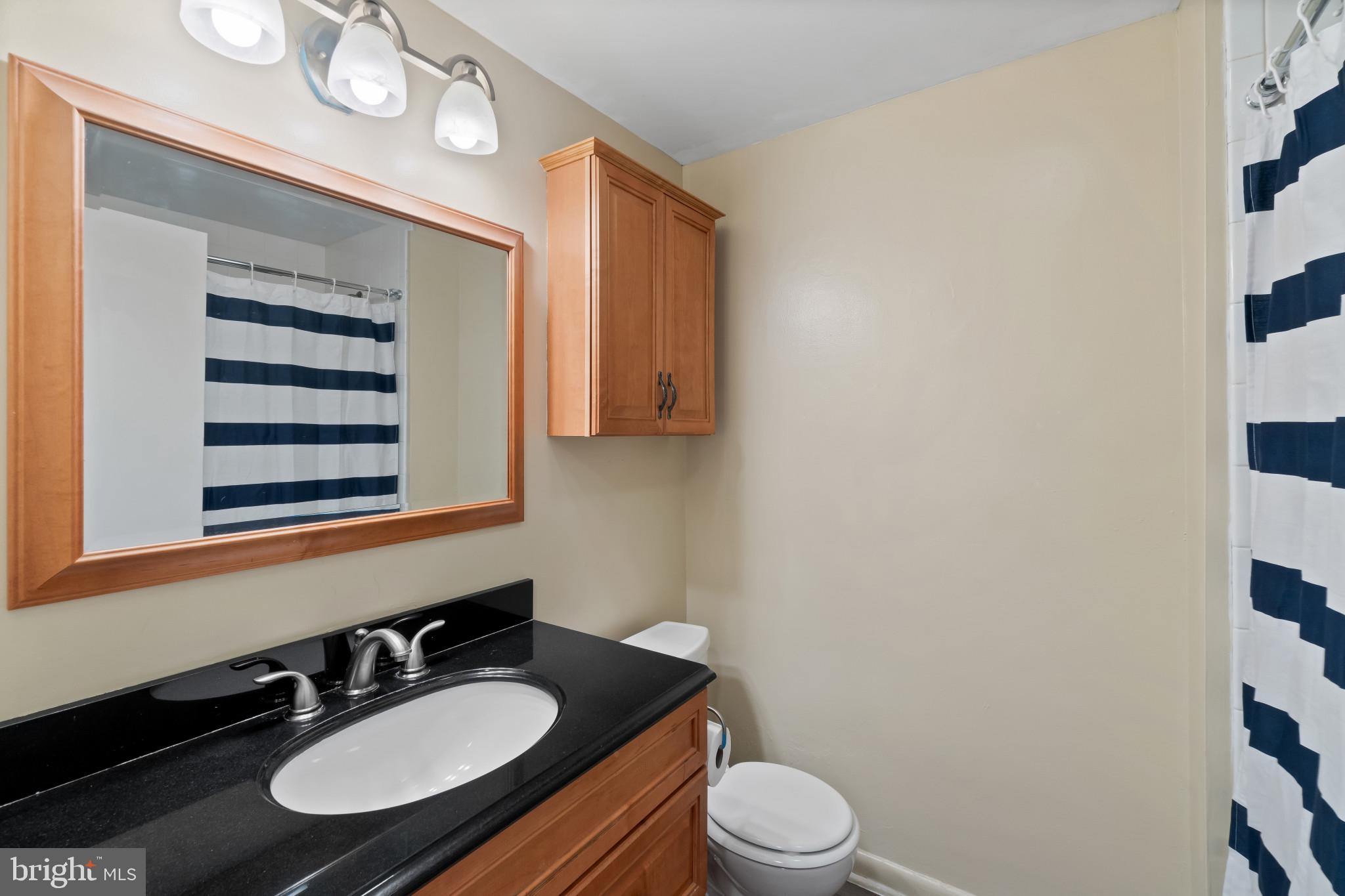 8146 Del Haven Road Baltimore, MD 21222 - Photo 12 of 35 a bathroom with a sink a toilet a mirror and shower