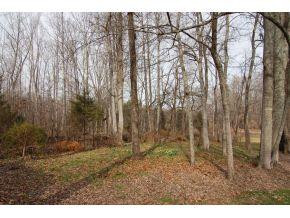 5001 Green Riley Road Rougemont, NC 27572 - Photo 19 of 23 a view of outdoor space with trees