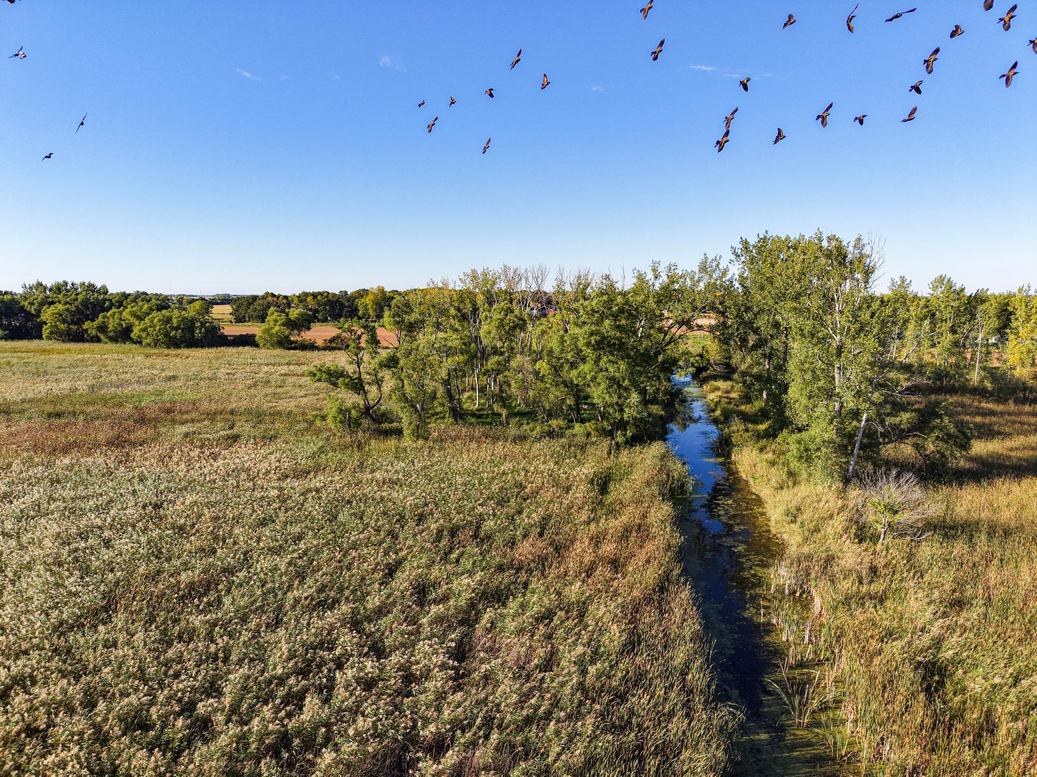 0 State Highway Nicollet, MN 56074 - Photo 14 of 37 Gallery Image 14