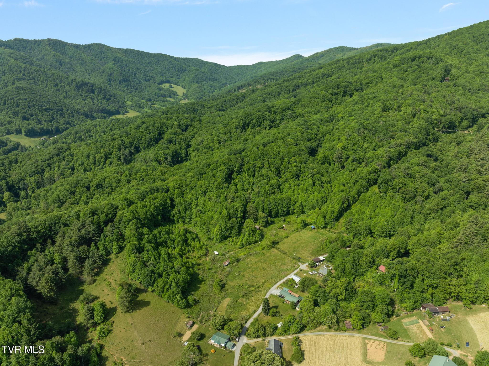 685 Tipton Branch Road Flag Pond, TN 37657 - Photo 10 of 16 Aerial