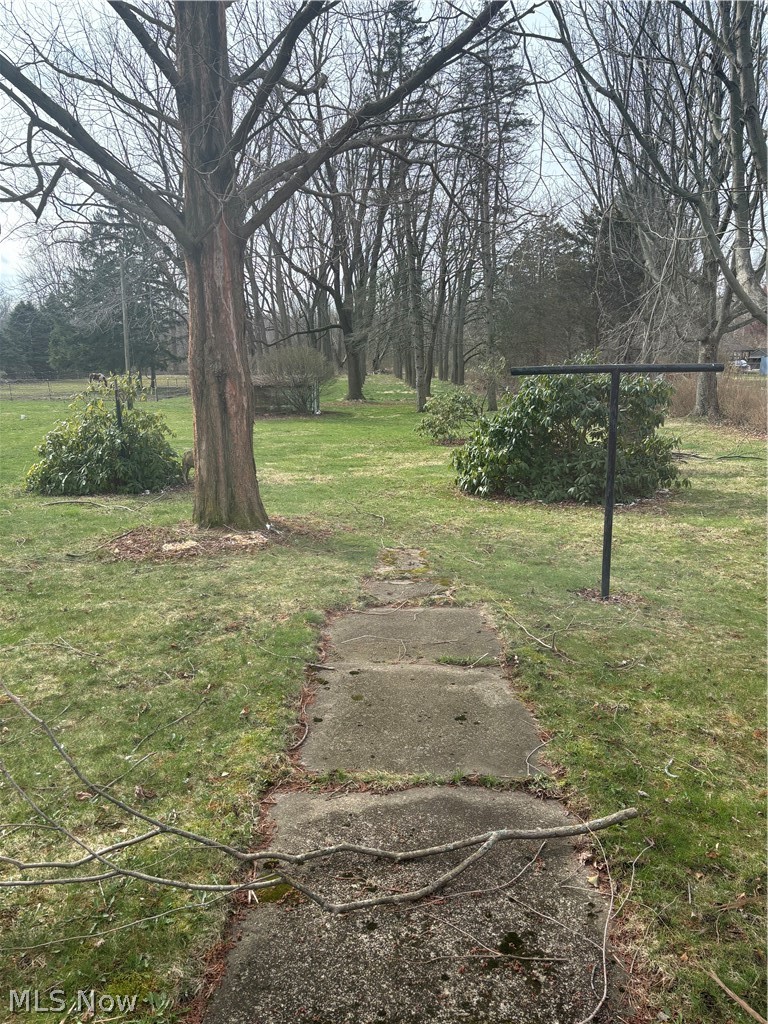 4268 Manchester Road Perry, OH 44081 - Photo 2 of 12 View of yard