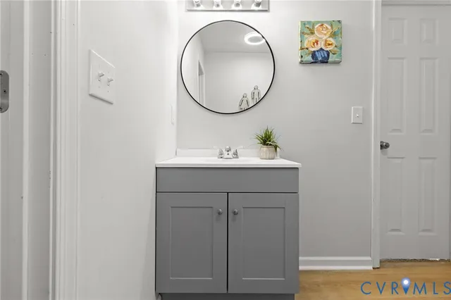 a bathroom with a sink a mirror and a potted plant