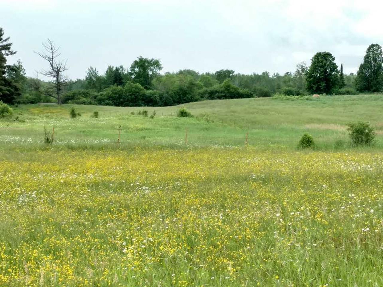 W5237 Granberg Road Prentice, WI 54556 - Photo 16 of 16 Gallery Image 16