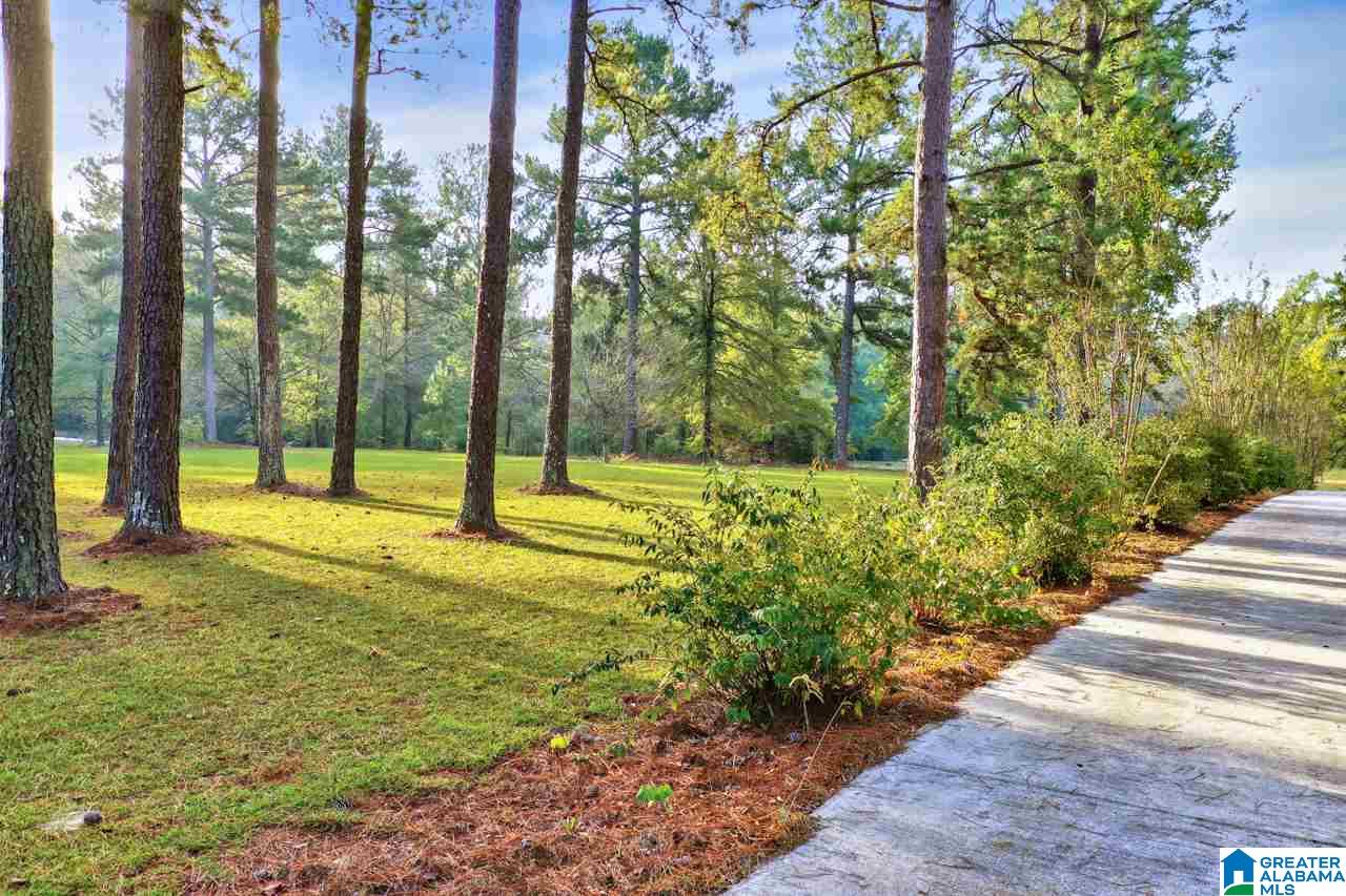 195 Buttercup Lane Montevallo, AL 35115 - Photo 46 of 50