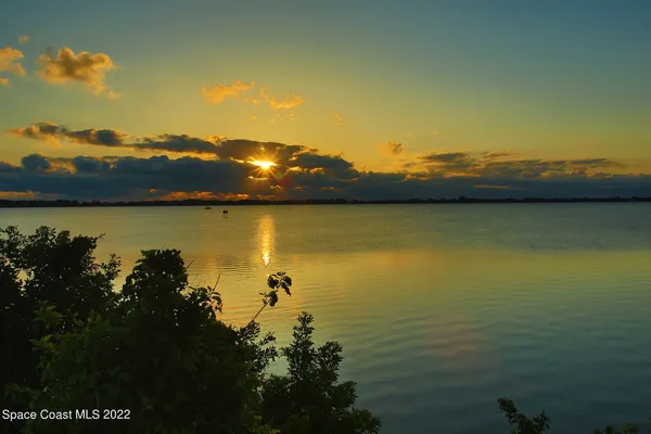a view of a lake from a yard
