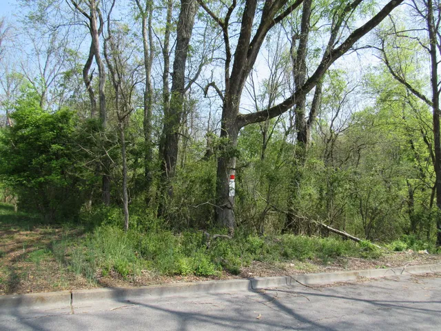 $15,900 | 3501 Mellon Street, Unit 584, Kingsport, TN 37660