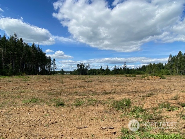 288 Monroe Road Winlock, WA 98596 - Photo 3 of 14