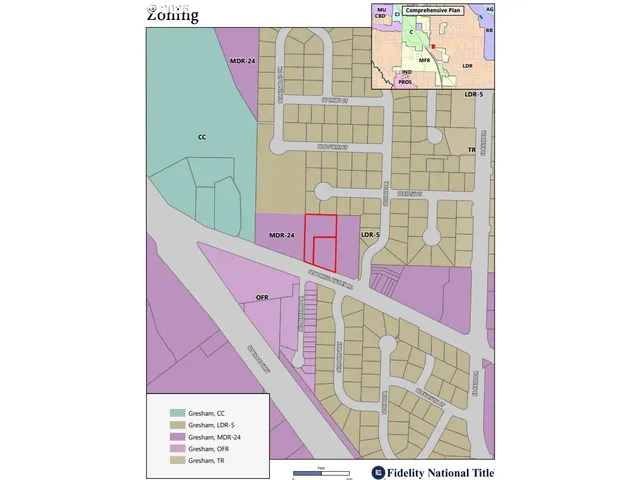 a backyard with tall trees