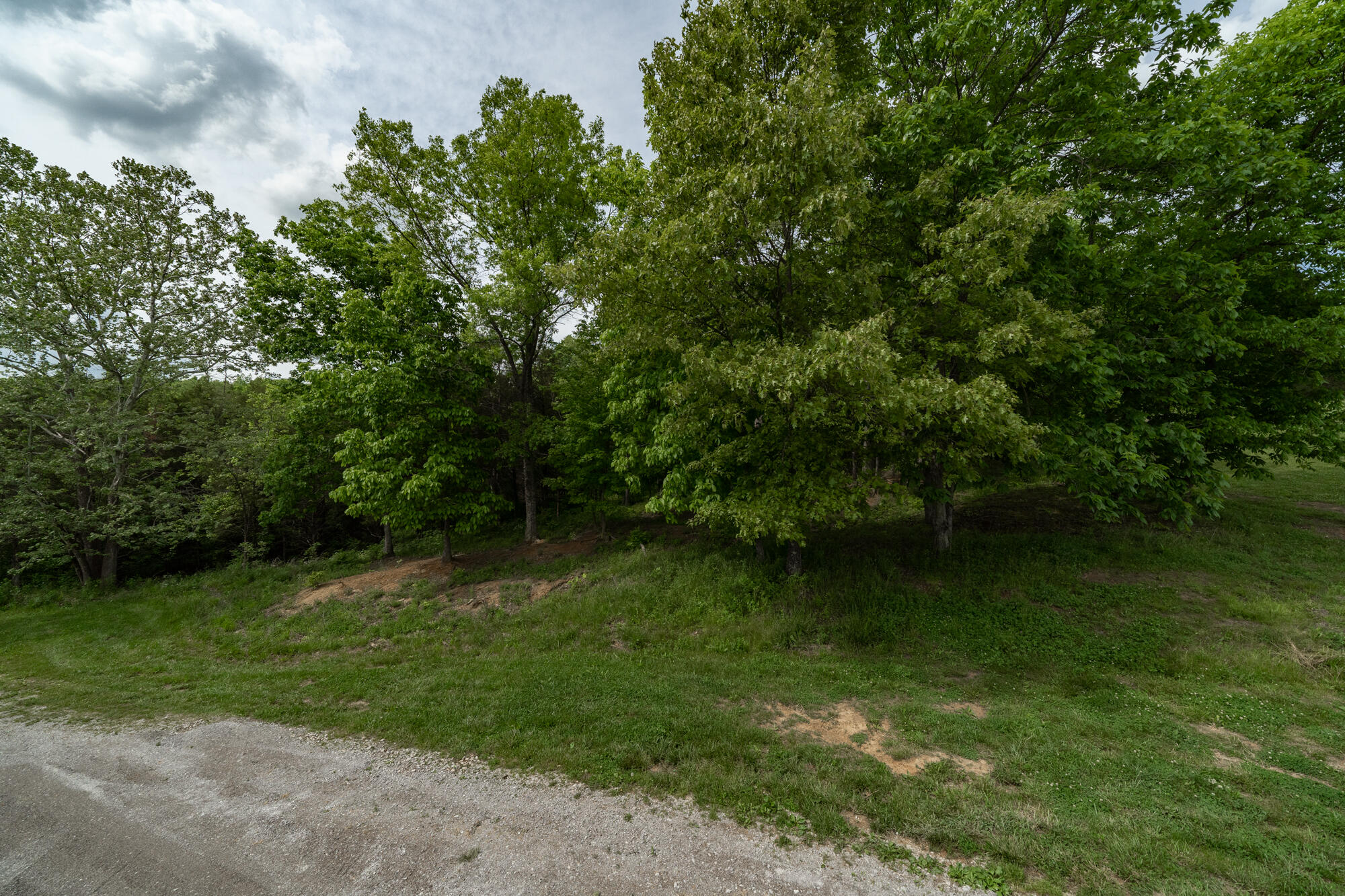 3345 Arnolds Creek Road Dry Ridge, KY 41035 - Photo 34 of 36