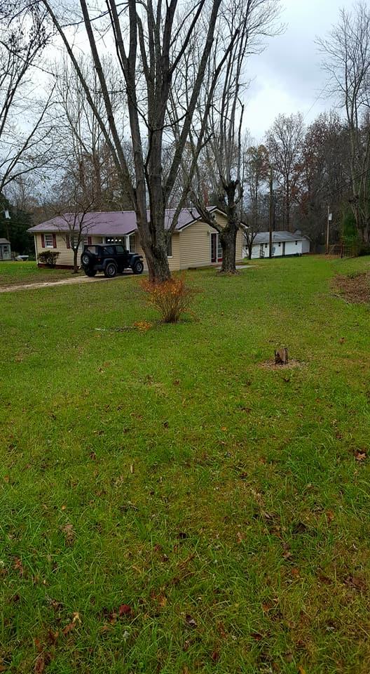243 Loop Road Caryville, TN 37714 - Photo 4 of 12 caryville12
