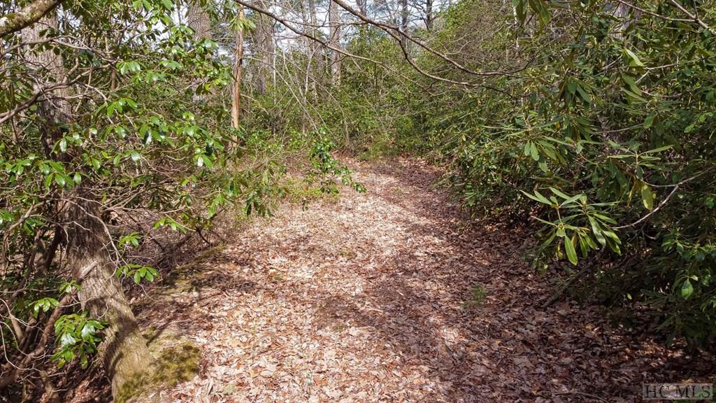 7 Tower Road Sapphire, NC 28774 - Photo 21 of 28 Gallery Image 21