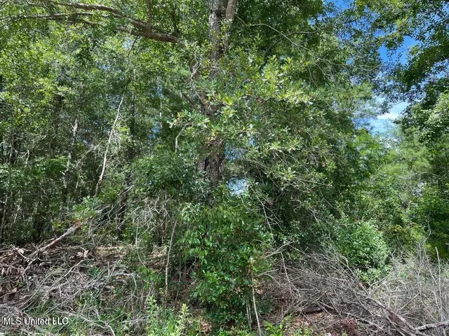 $60,000 | Sampras Boulevard, Vancleave, MS 39565