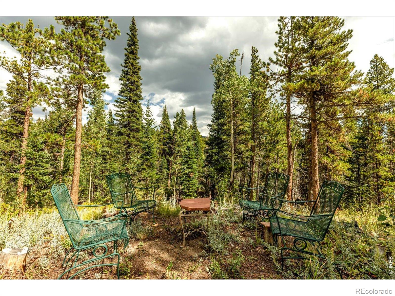 628 County Road Allenspark, CO 80510 - Photo 18 of 26 Gallery Image 18
