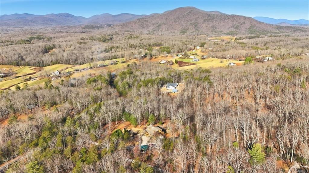 1401 Adair Mill Road Cleveland, GA 30528 - Photo 55 of 65