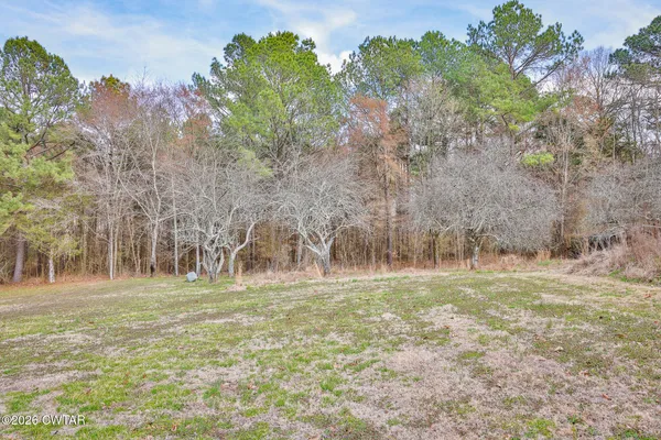 a view of road with large trees