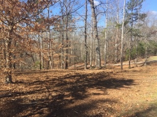 Lot 40 Great Oak Way, Unit WATERFORD RIDGE Seneca, SC 29672 - Photo 11 of 13 Gallery Image 11