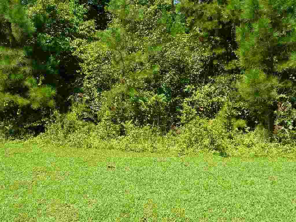 Lot 40 Great Oak Way, Unit WATERFORD RIDGE Seneca, SC 29672 - Photo 3 of 13 Gallery Image 3