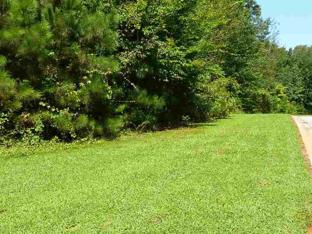 Lot 40 Great Oak Way, Unit WATERFORD RIDGE Seneca, SC 29672 - Photo 5 of 13 Gallery Image 5