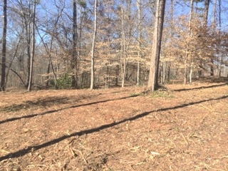 Lot 40 Great Oak Way, Unit WATERFORD RIDGE Seneca, SC 29672 - Photo 8 of 13 Gallery Image 8