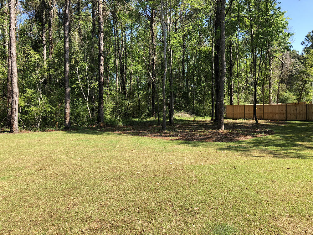 1516 Grimball Rd Extension Charleston, SC 29412 - Photo 23 of 25 1516 backyard