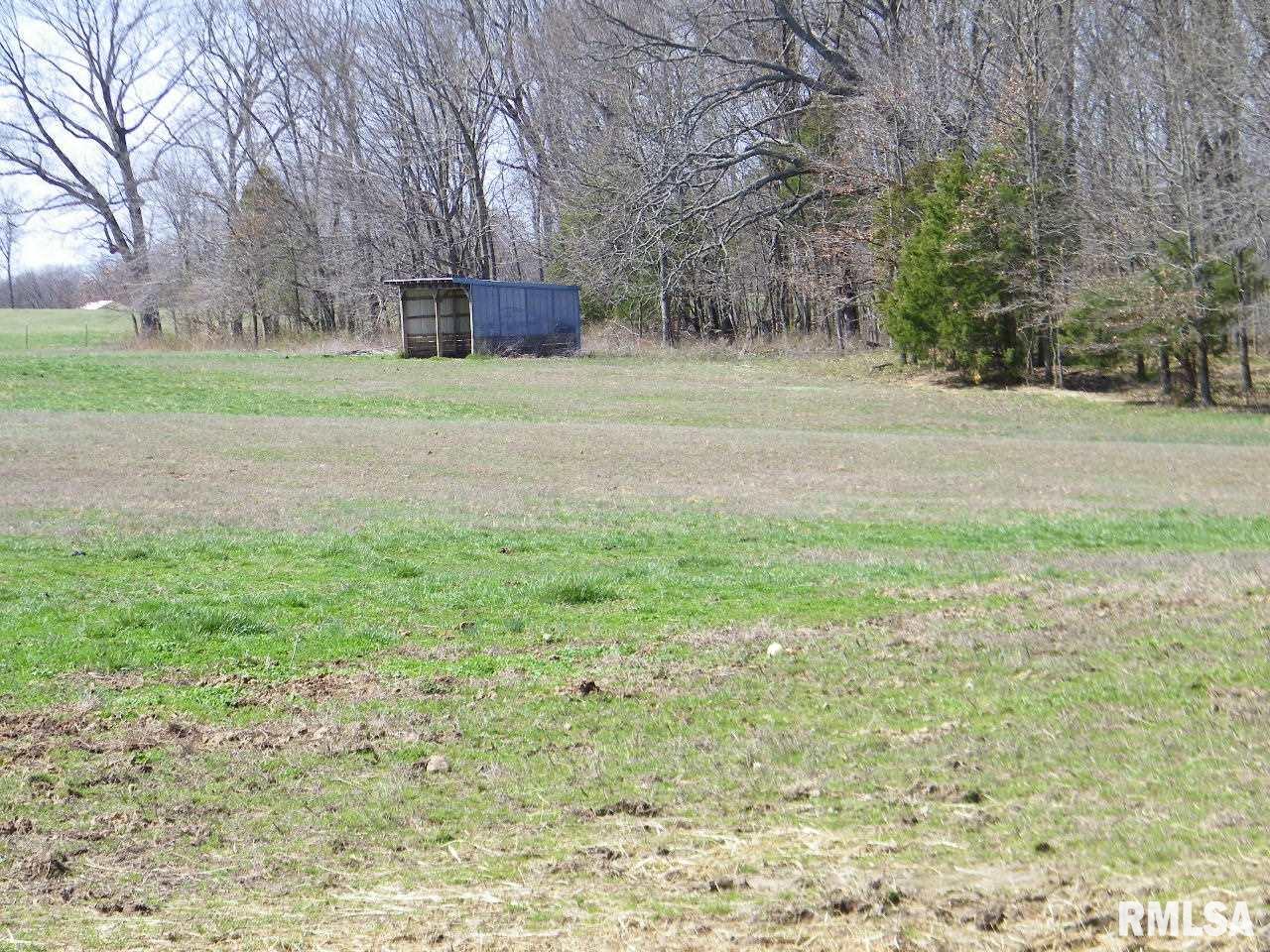 18500 Fowler School Road Pittsburg, IL 62974 - Photo 20 of 39 Gallery Image 20