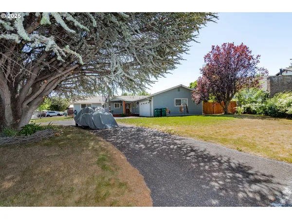 a view of a outdoor space in front of a house