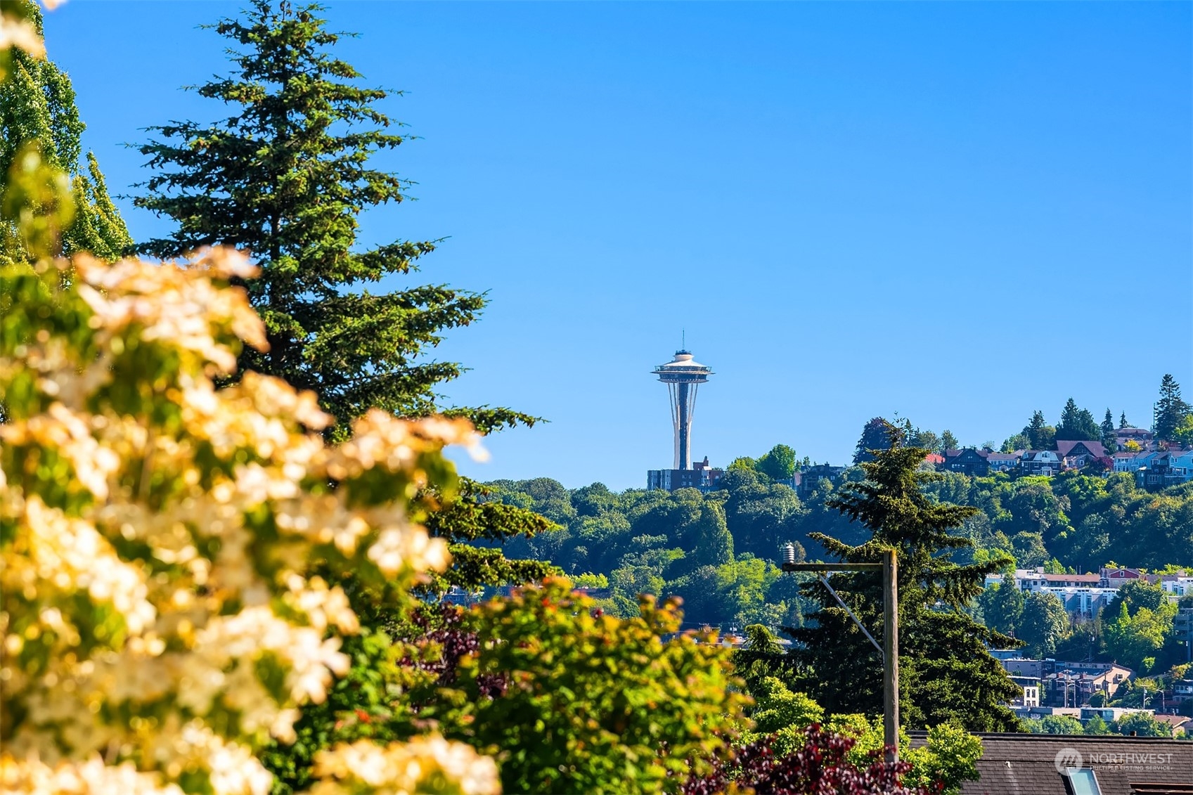 1505 North 43rd Street Seattle, WA 98103 - Photo 20 of 40