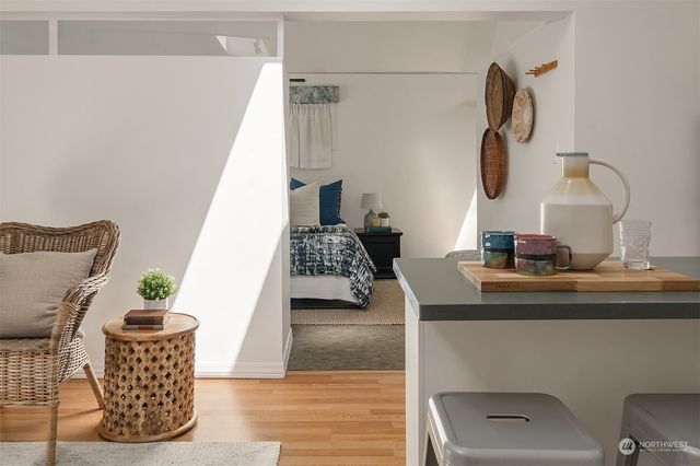 a garden with flowers and trees