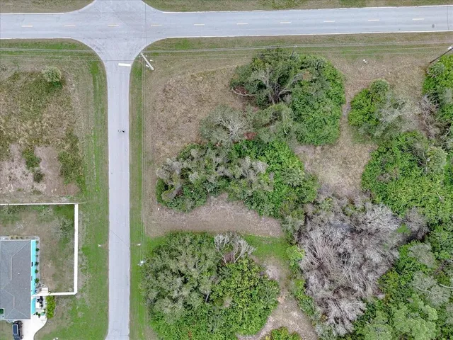 a view of a garden with plants
