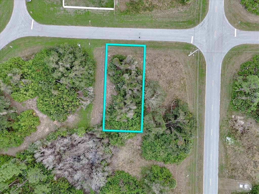 201 Hardee Way Rotonda West, FL 33947 - Photo 4 of 20 a view of a garden