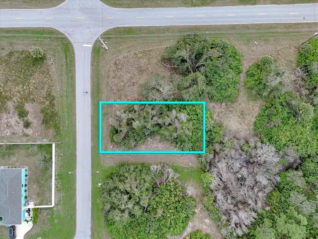 a view of a garden with a bench