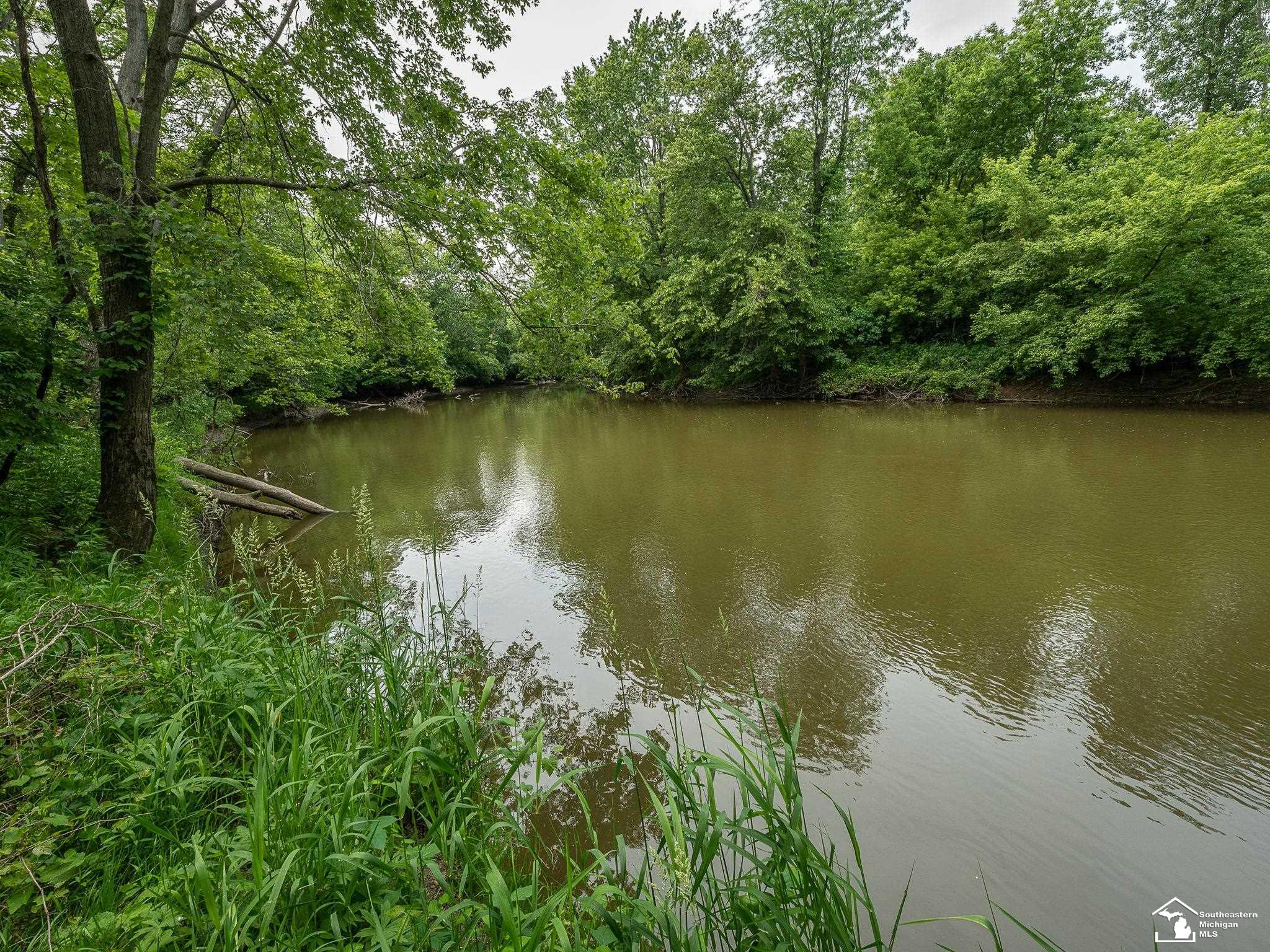 13999 Rightmire Road Dundee, MI 48131 - Photo 36 of 41