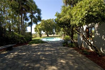 4193 Big Ranch Road Napa, CA 94558 - Photo 6 of 12 a view of a yard with plants and trees