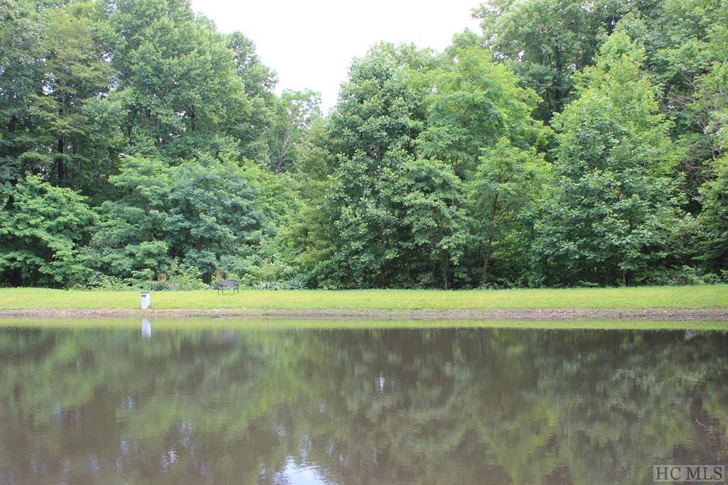 33 Whitewater Ridge Road Maggie Valley, NC 28751 - Photo 6 of 11 Gallery Image 6