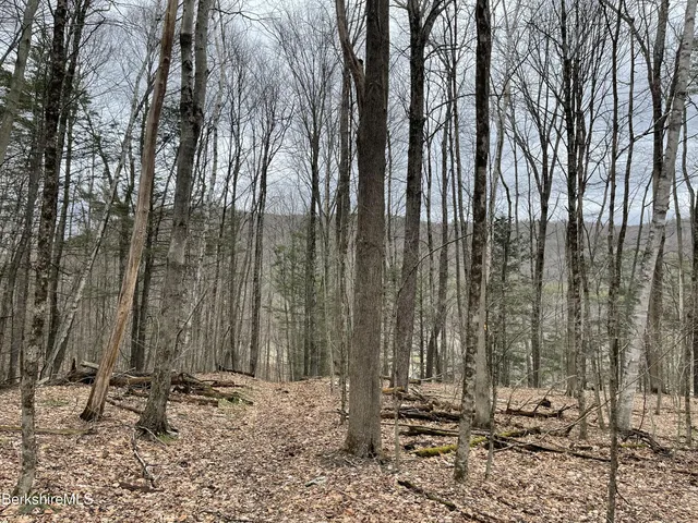 a view of a backyard of the house