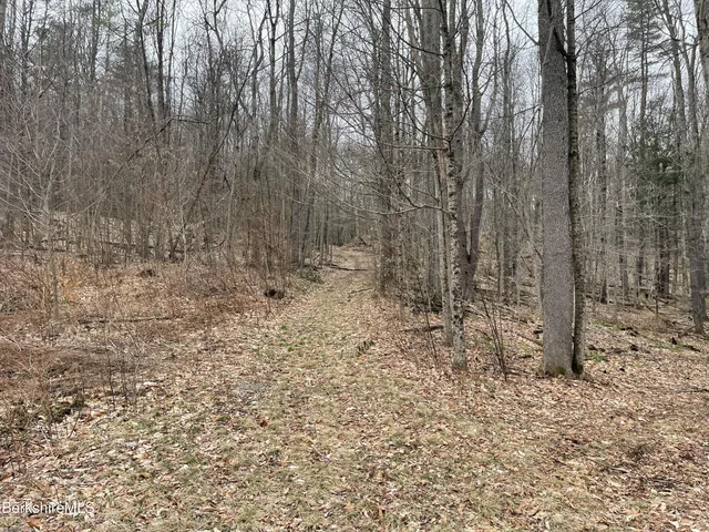 a view of a yard with trees in the background
