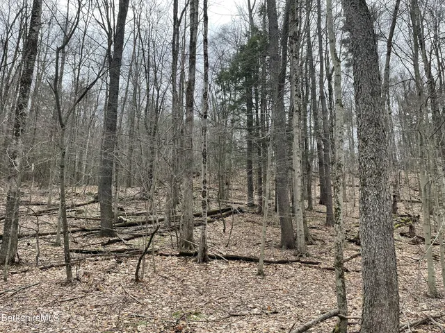 a view of outdoor space with lots of trees