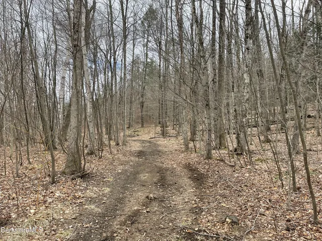 a backyard of a house with lots of trees