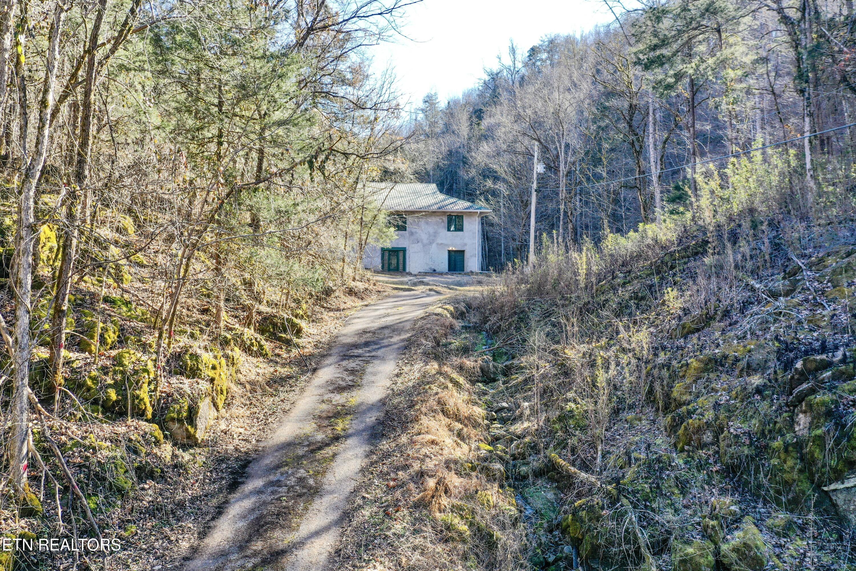 1650 Indian Creek Road Thorn Hill, TN 37881 - Photo 33 of 51 driveway coming up to the house and yard