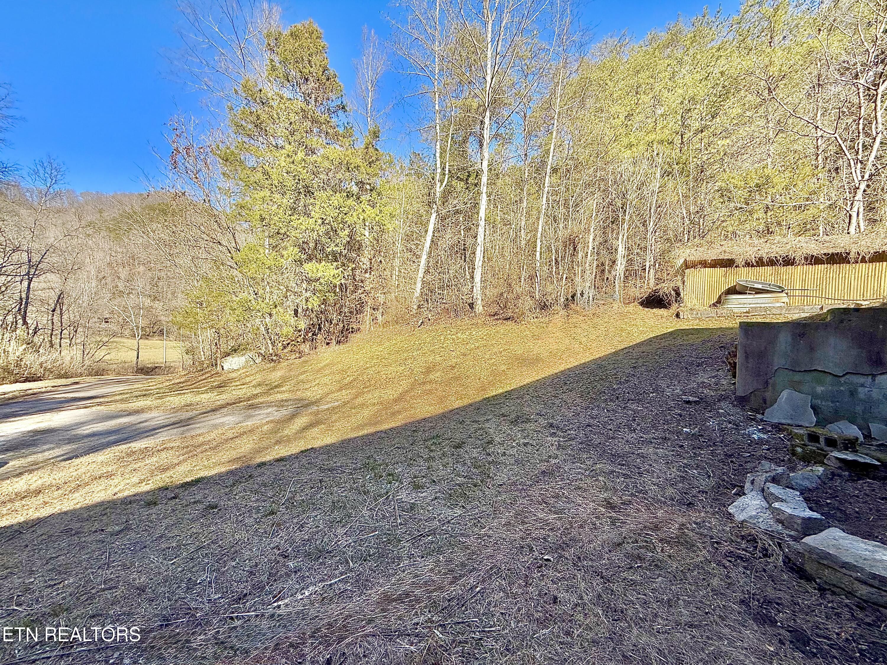 1650 Indian Creek Road Thorn Hill, TN 37881 - Photo 36 of 51 Side of yard towards creek