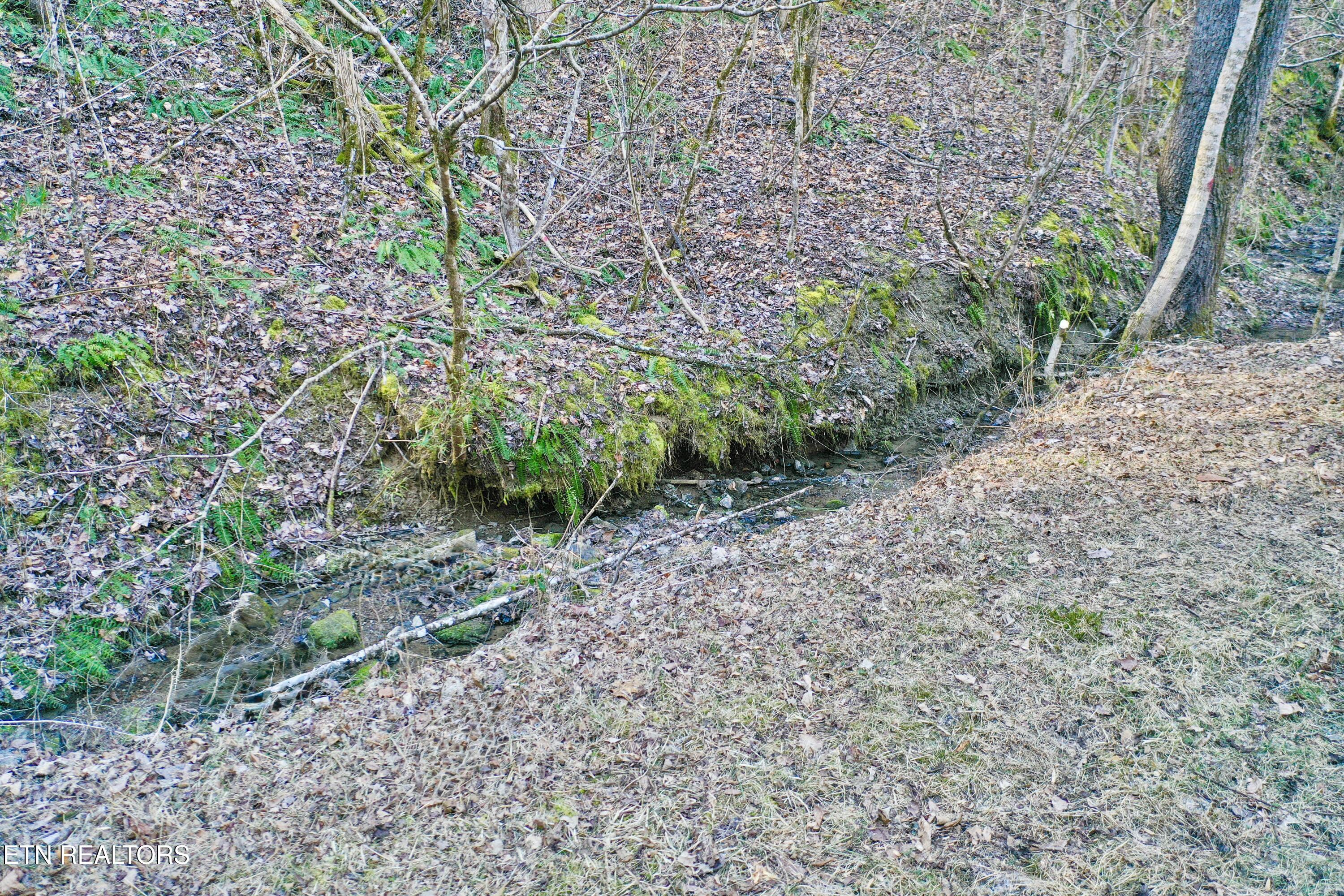 1650 Indian Creek Road Thorn Hill, TN 37881 - Photo 39 of 51 there is even a side creek