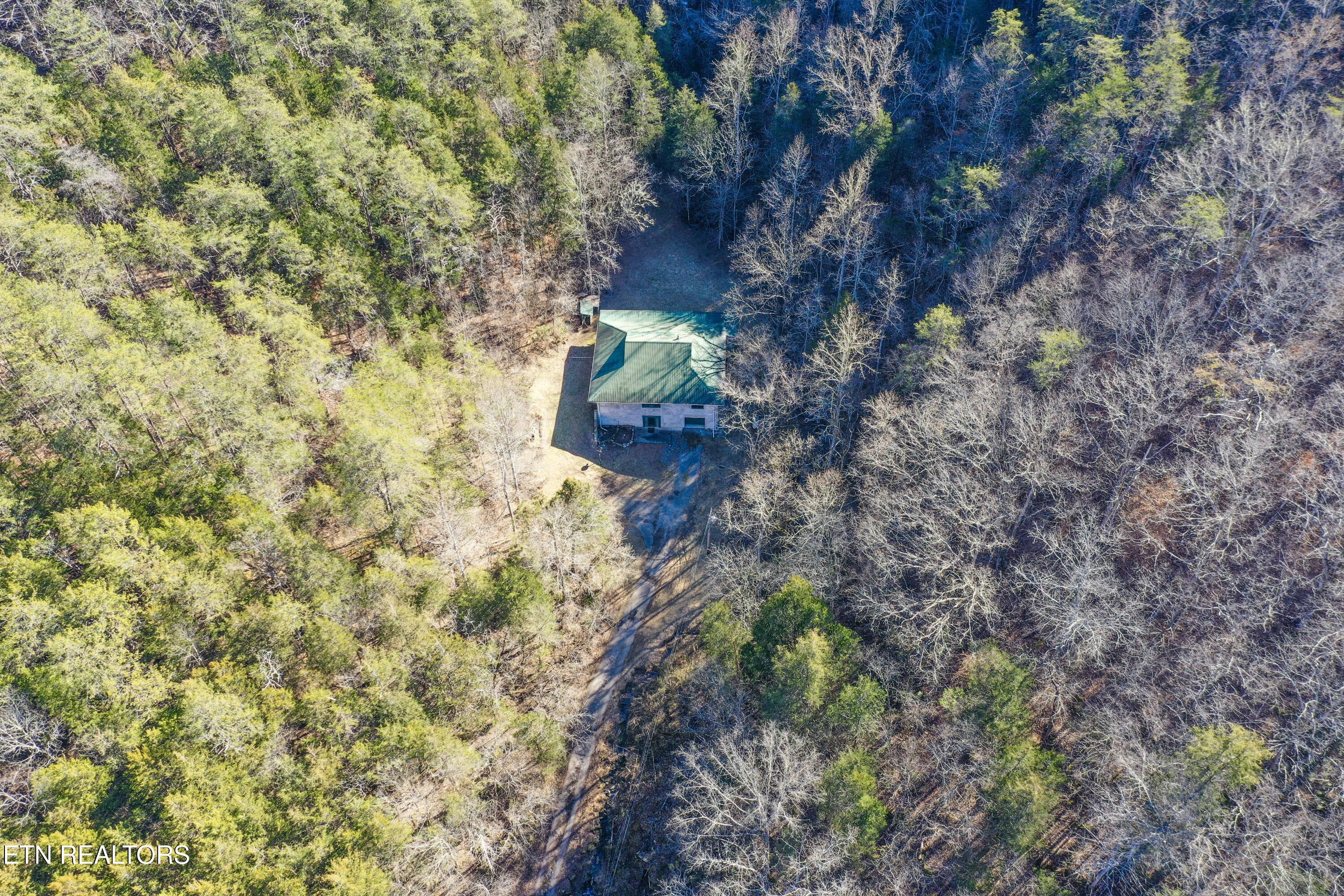 1650 Indian Creek Road Thorn Hill, TN 37881 - Photo 42 of 51 Peace and privacy