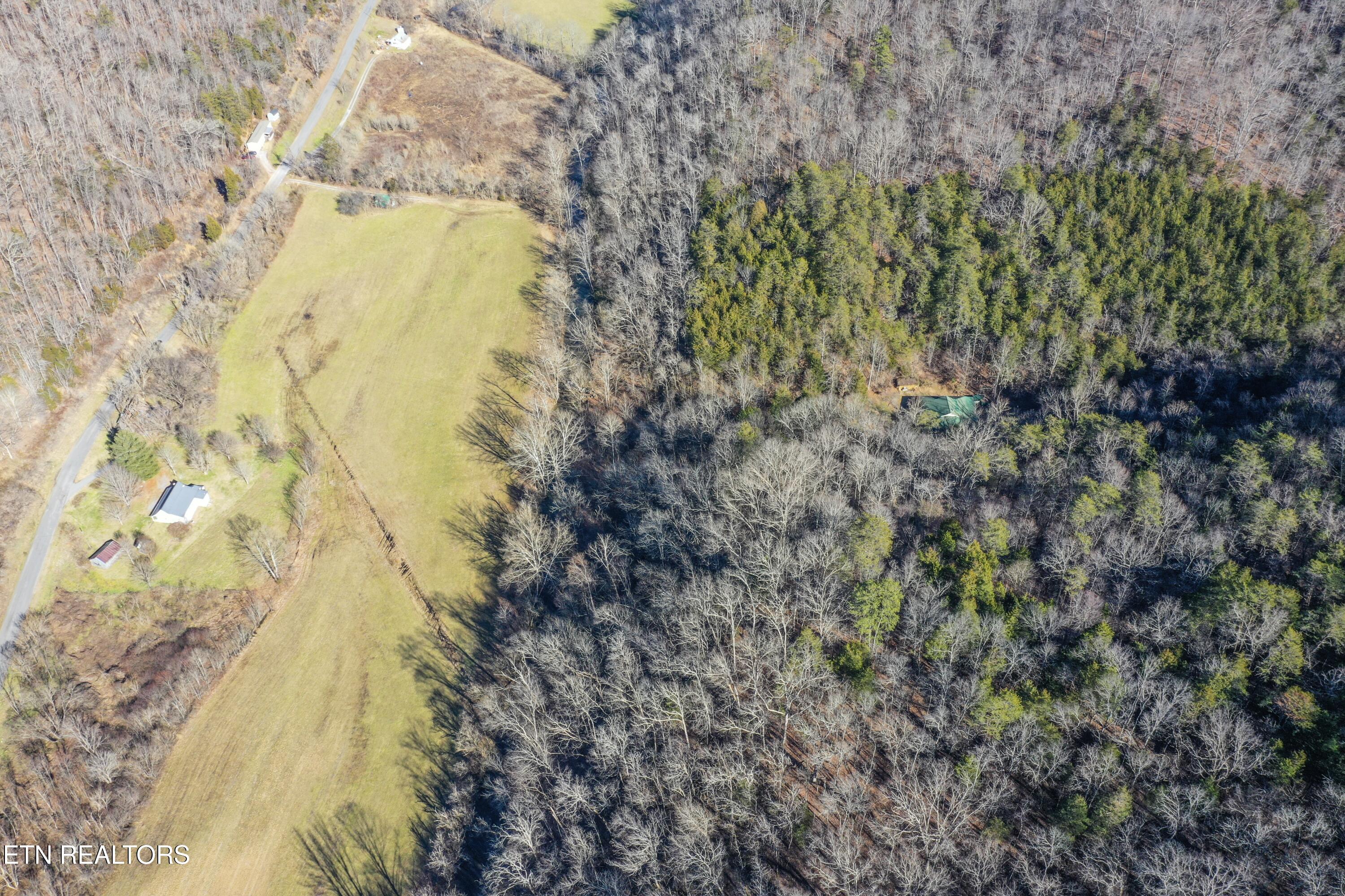 1650 Indian Creek Road Thorn Hill, TN 37881 - Photo 44 of 51 From the west looking east
