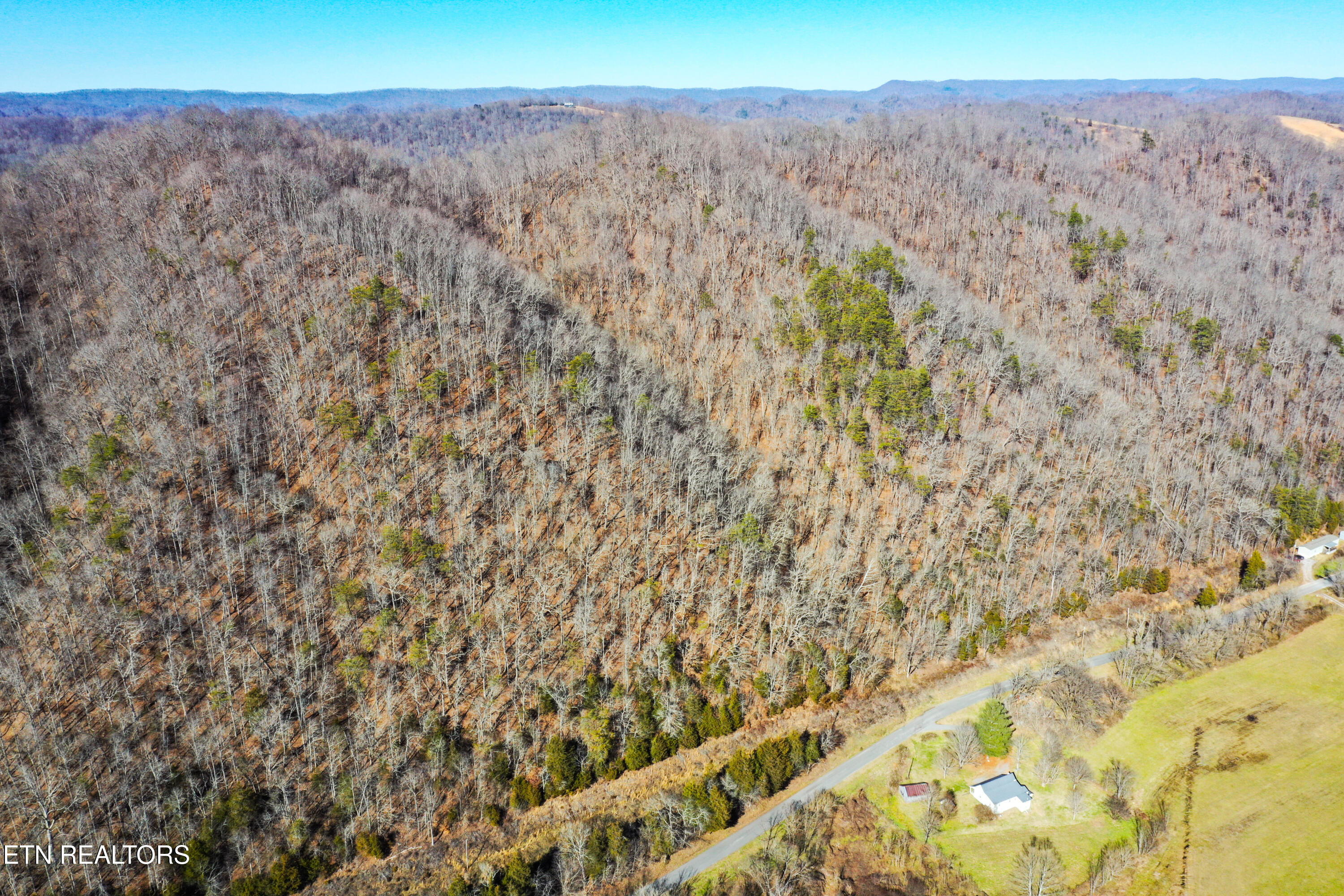 1650 Indian Creek Road Thorn Hill, TN 37881 - Photo 51 of 51 More of the mountainside of property