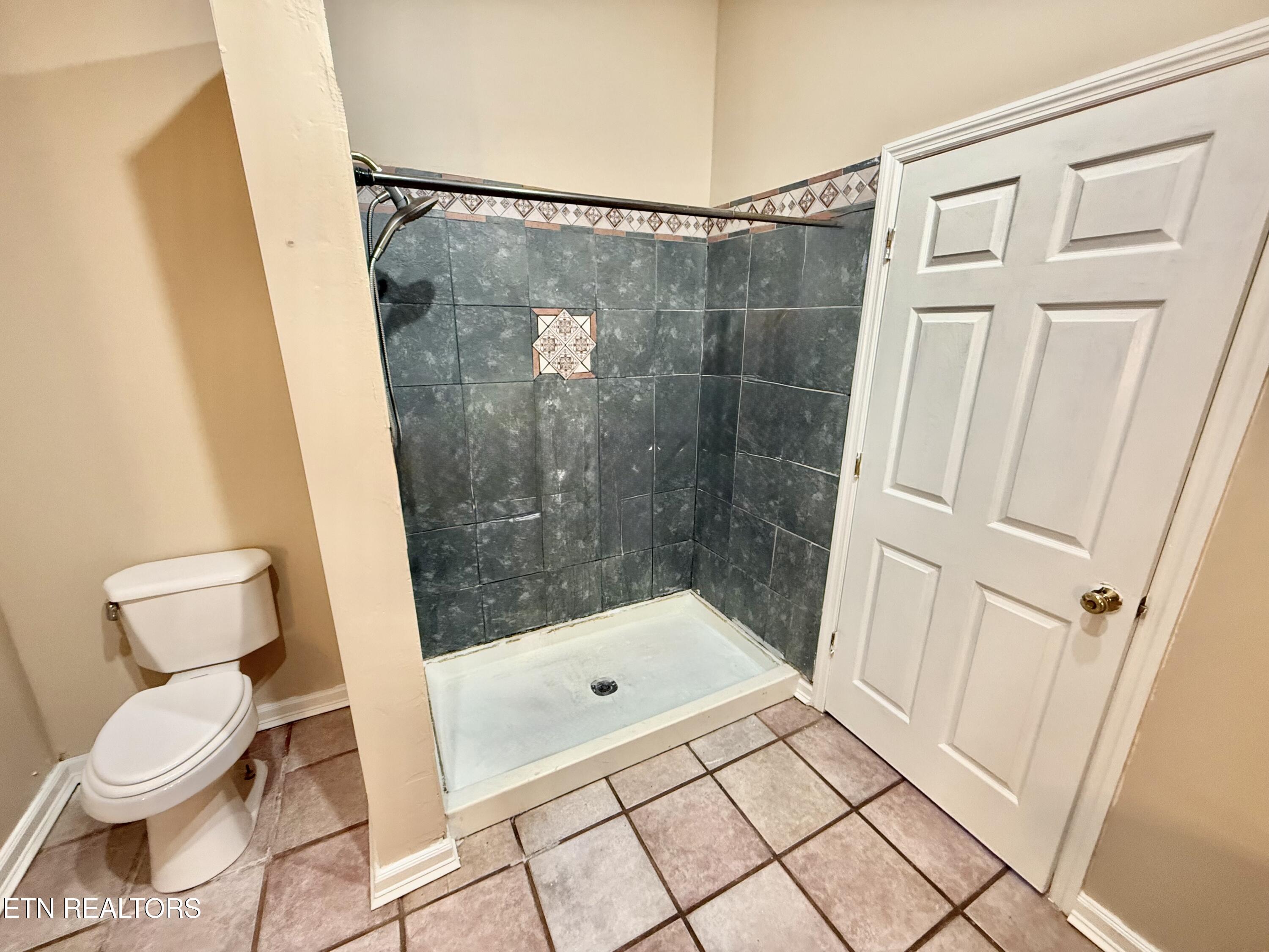 1650 Indian Creek Road Thorn Hill, TN 37881 - Photo 10 of 51 Main bathroom