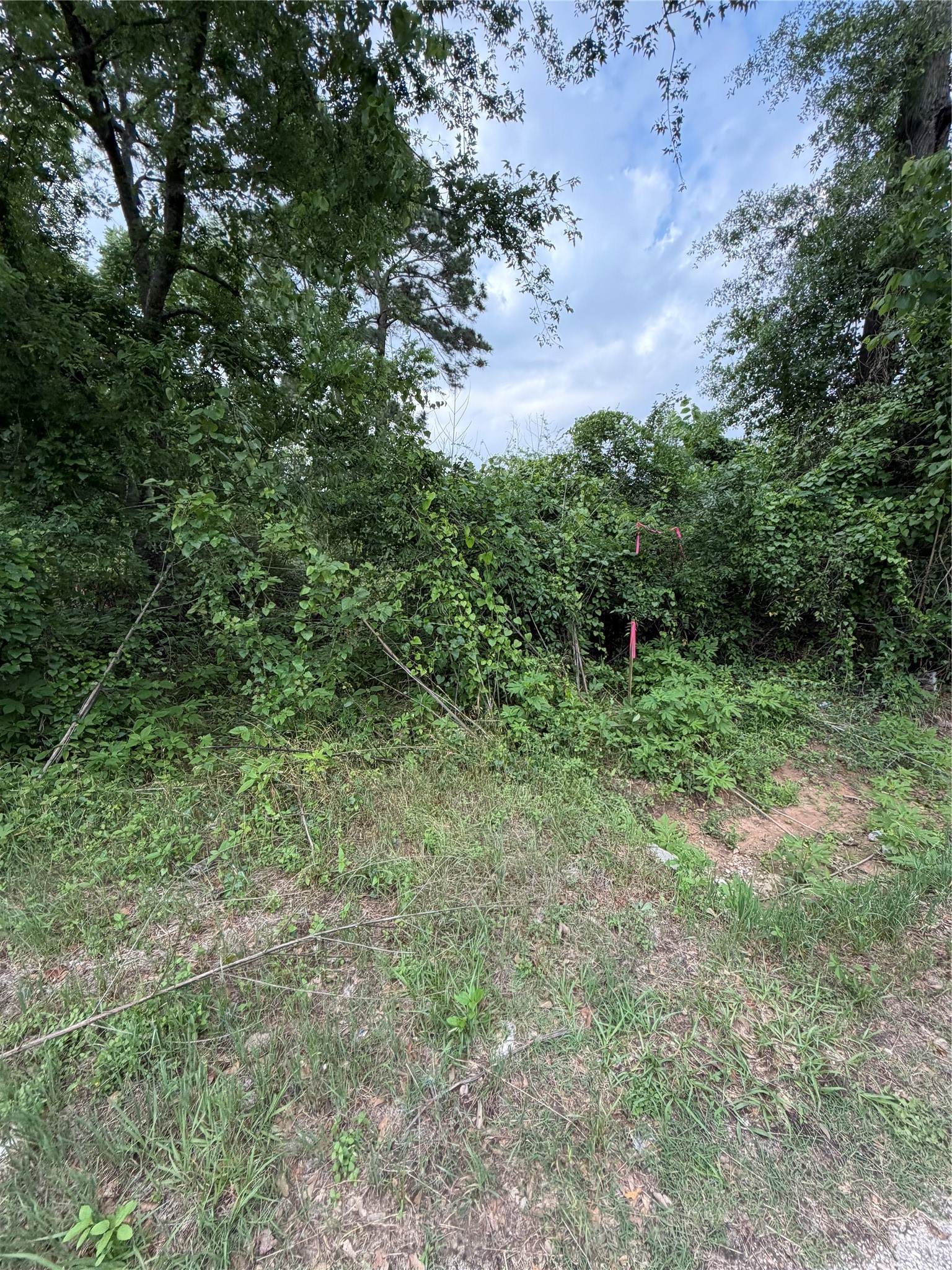Tbd Tbd I Avenue Conroe, TX 77301 - Photo 4 of 9