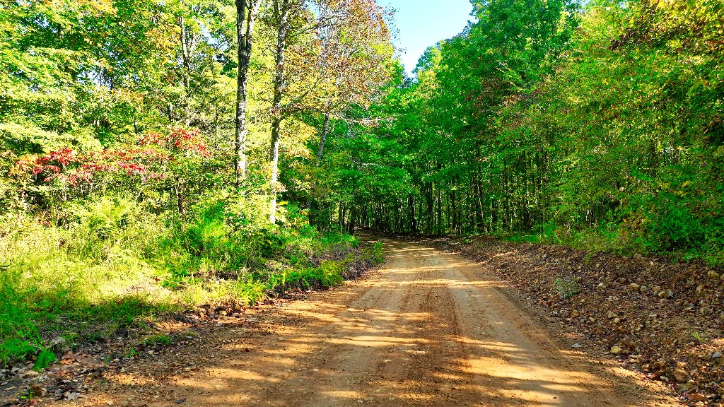 1 Little Piney Road Centerville, TN 37033 - Photo 14 of 16 Gallery Image 14