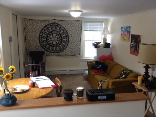 685 West Street, Unit 2 Amherst, MA 01002 - Photo 10 of 10