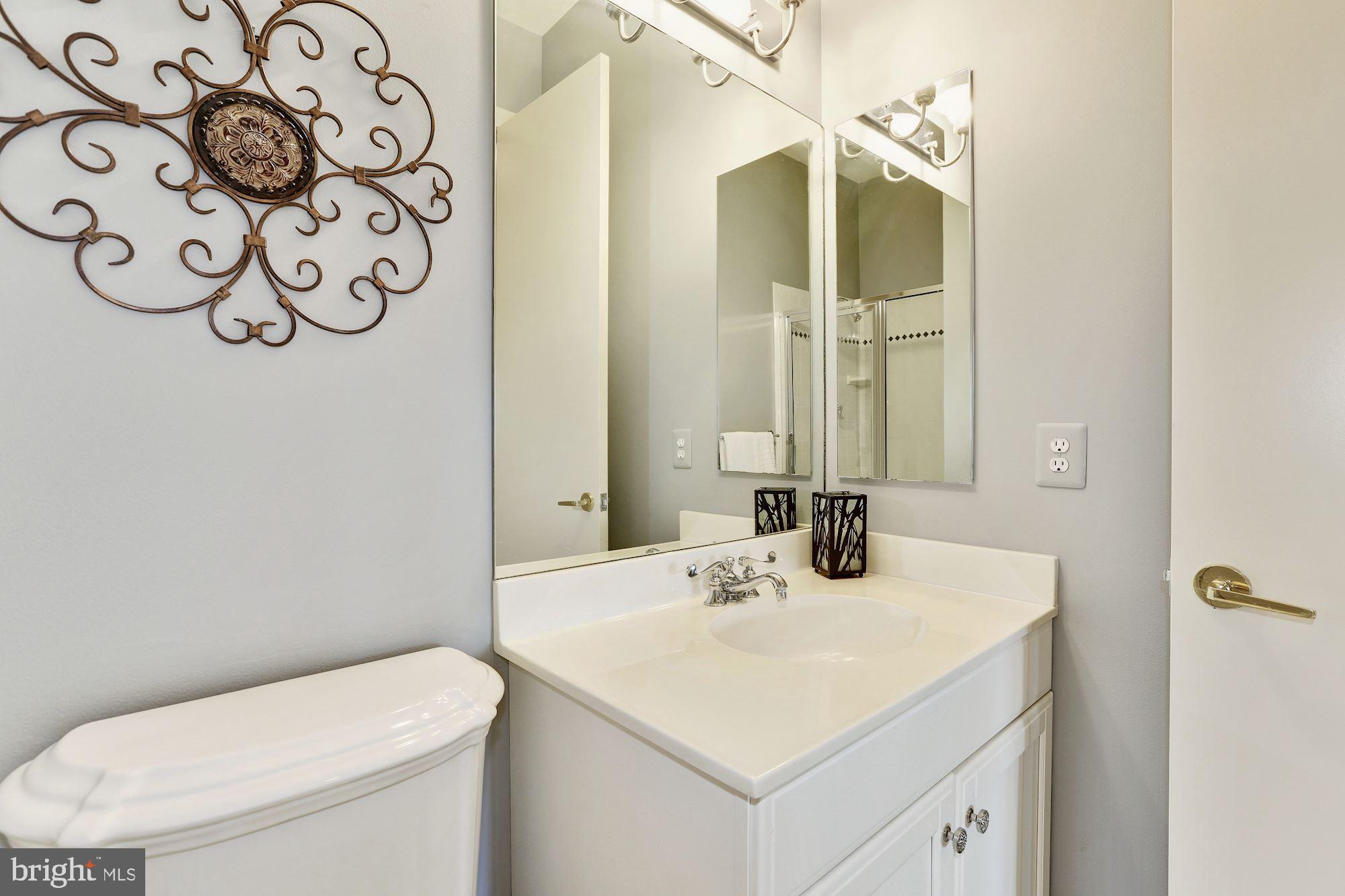 3617 Black Walnut Lane Glenwood, MD 21738 - Photo 40 of 83 Full Bath